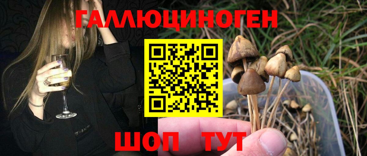 Обь  Галлюциногенные грибы прущие грибы  Вход с VPN 